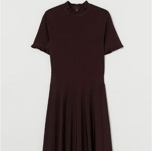 NWOT H&M Pleated-Skirt Dress